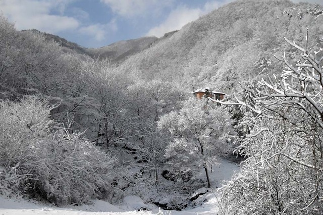 발교산산장 이미지