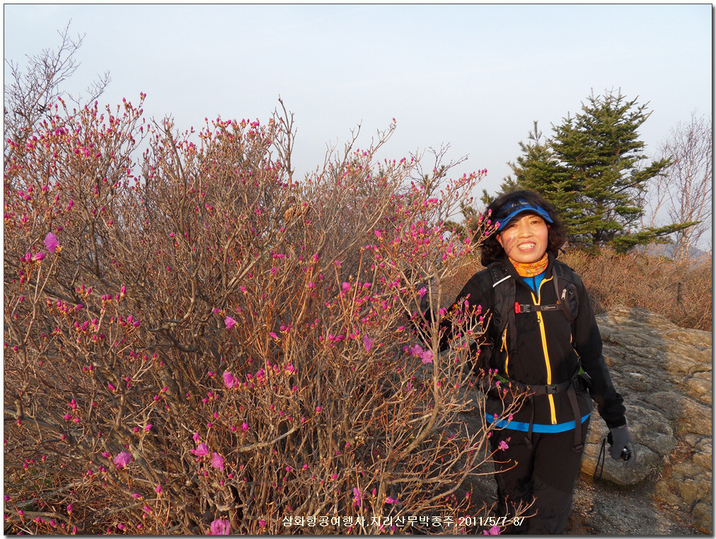 삼화여행사 이미지