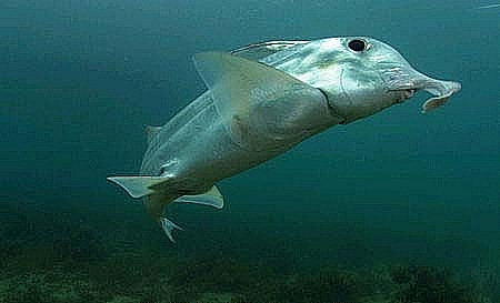 19358D474D4E9B5723DF02