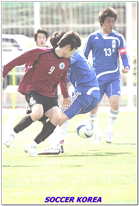 리베로(Libero) 이미지