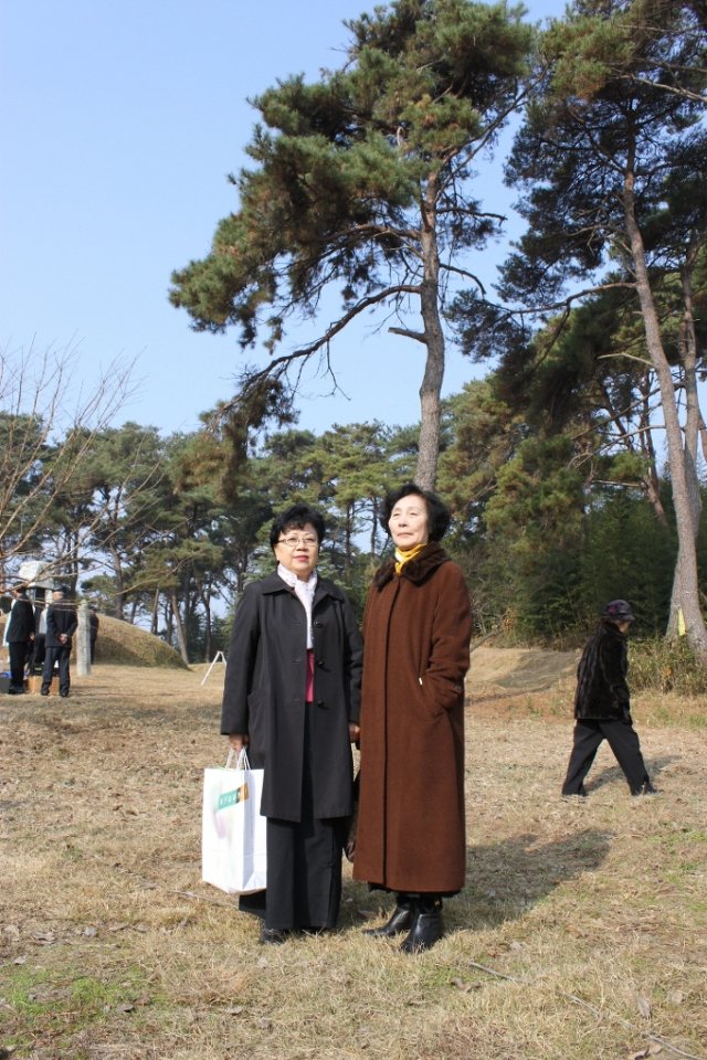 시제 이미지