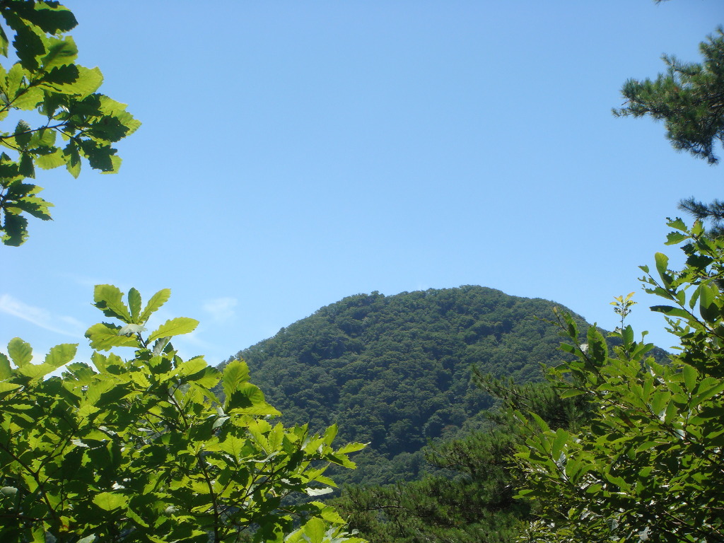 만수산 이미지