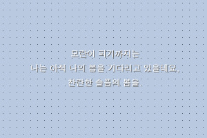 뉴미 이미지