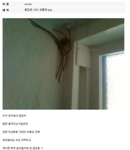 청소하다 이미지