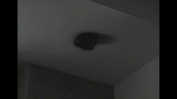 정말로 있었던 무서운 이야기 - 최후의 목소리 (화질구지 와중에 무서움 주의) | 인스티즈