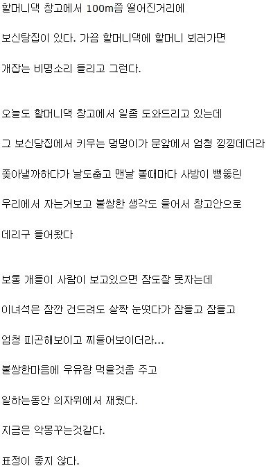 훈훈하다고 돌아다니는 개짤의 진실 (경찰서 잠자는개) ...... jpg | 인스티즈
