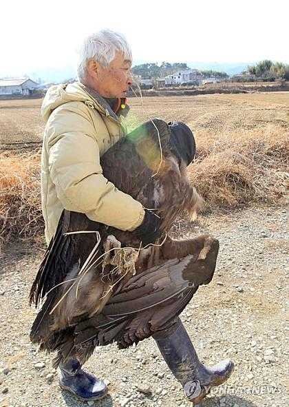 실제 독수리 본 장동민 | 인스티즈
