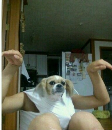 카페나와 이미지