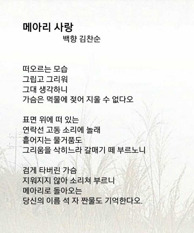 백향 이미지