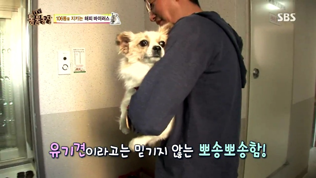 [동물농장] 106동 주민들이 키우는 강아지 | 인스티즈