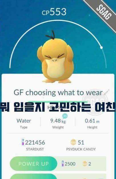 포켓몬고 작명센스 | 인스티즈