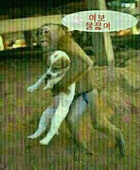 모여모여 이미지