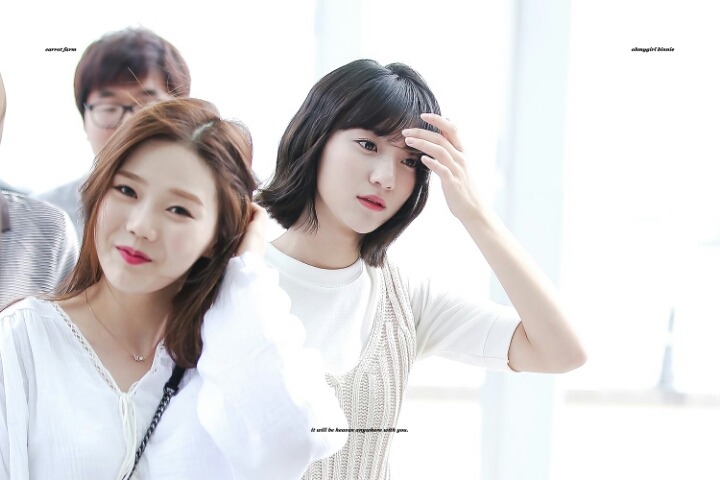 빈빈 이미지
