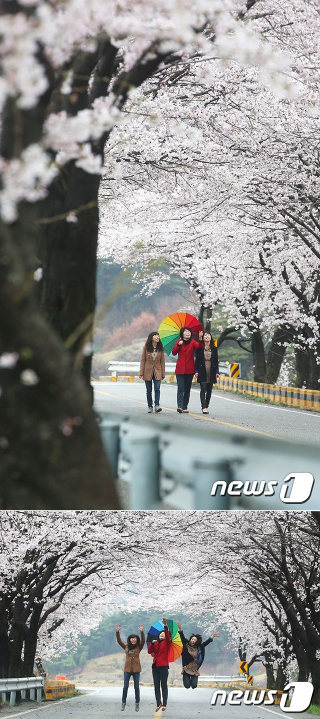 제일원떡방앗간 이미지