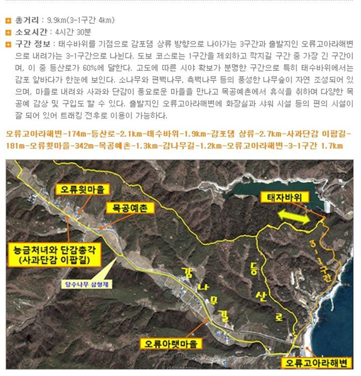 8월의중식 이미지
