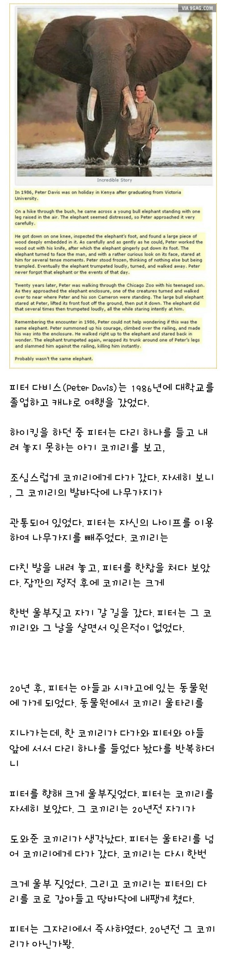 코끼리의 기억력.jpg | 인스티즈