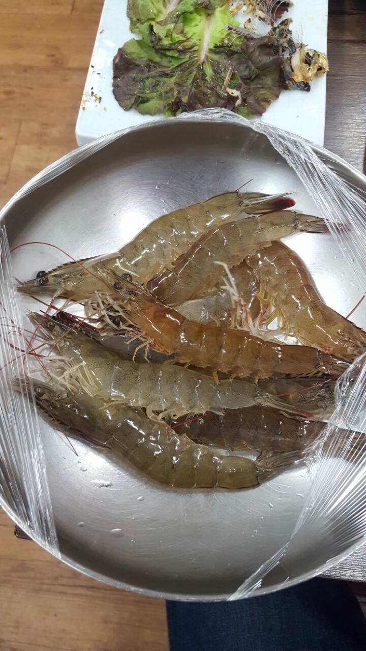 오도로 이미지