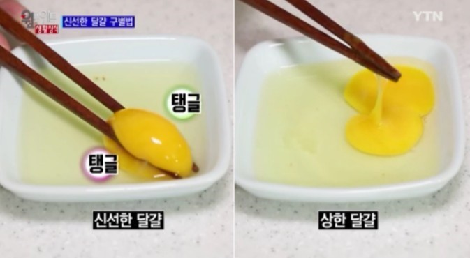 자취하면서 깨닫게 된 것 | 인스티즈