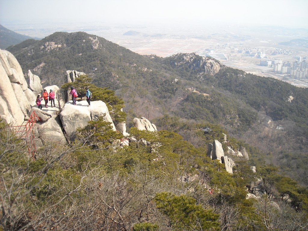 인천수산업협동조합 이미지