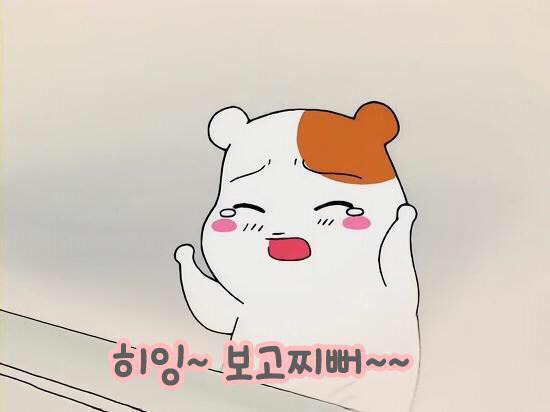 393 이미지