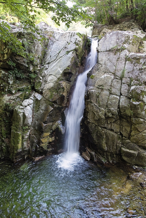 시대용역(주) 이미지