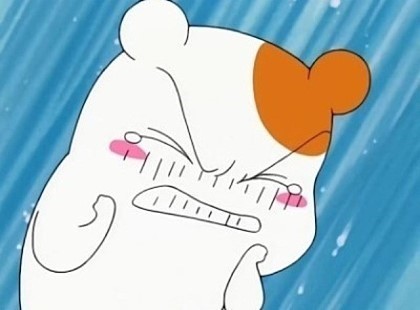 인블리 이미지