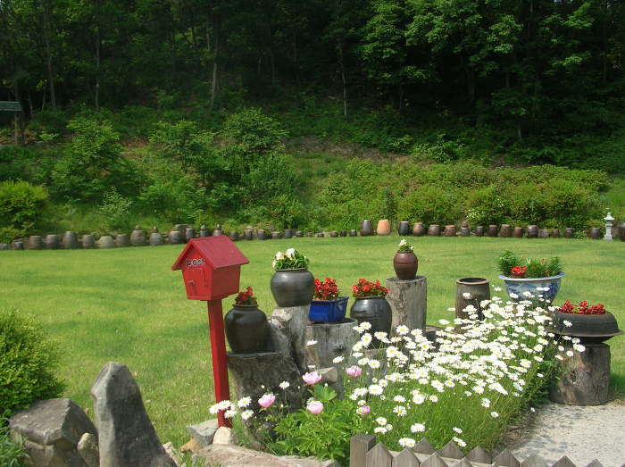 잔디밭 이미지