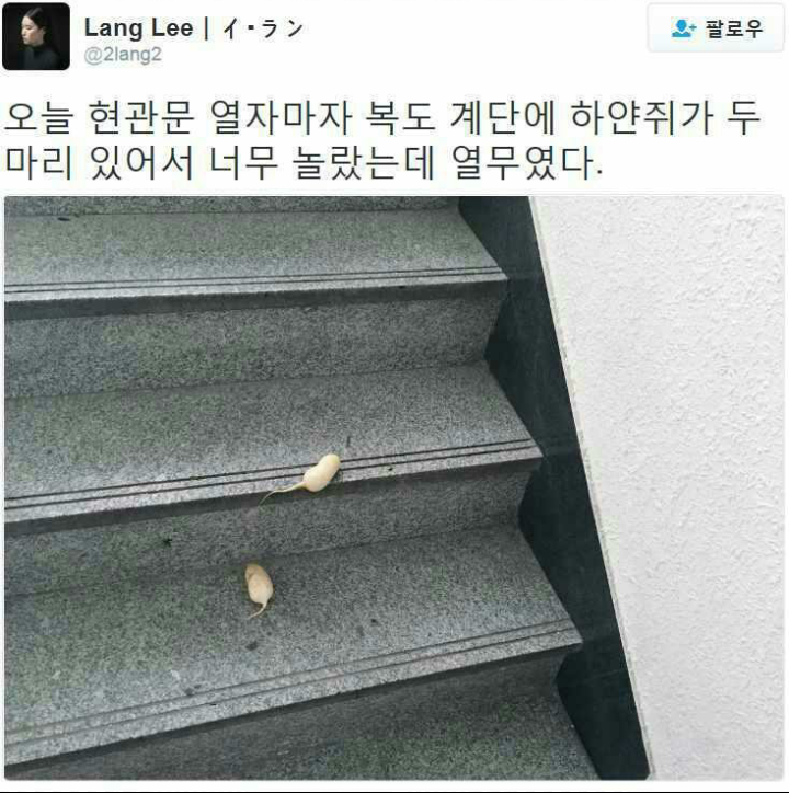 모다 이미지