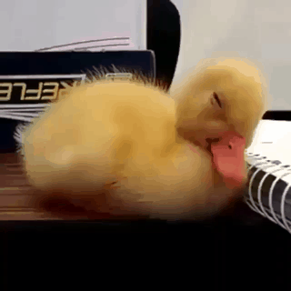 잠을 깨야 해.gif | 인스티즈