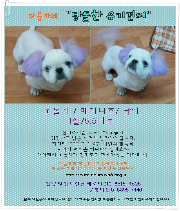 오돌이 이미지