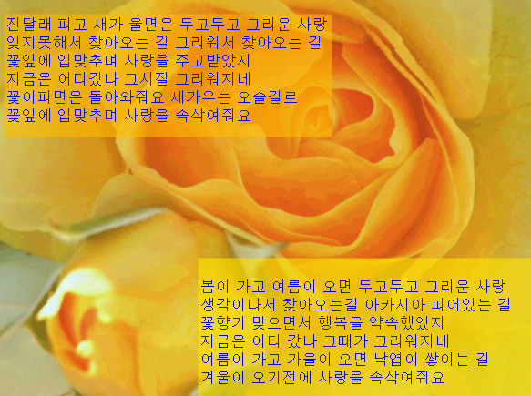 라리비 이미지