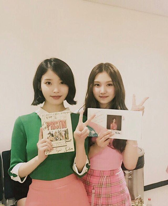 아이유의 팬서비스 | 인스티즈