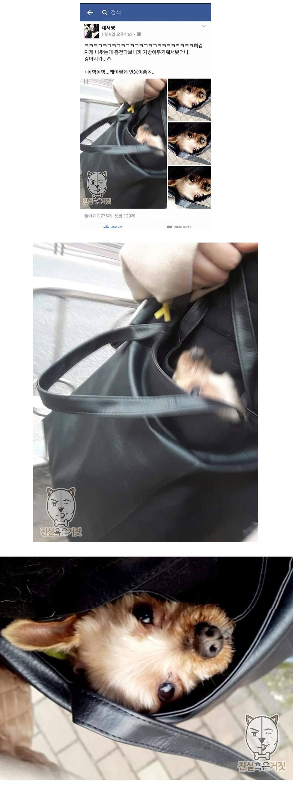 허겁지게 나왓는대 좀걷다보니꺼 가방이 무거워서봤더니.jpg | 인스티즈