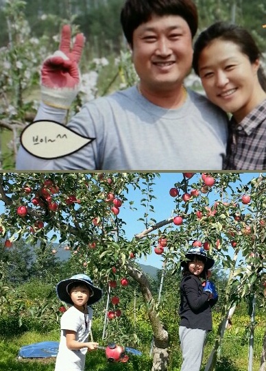 소백산풍기사과 이미지