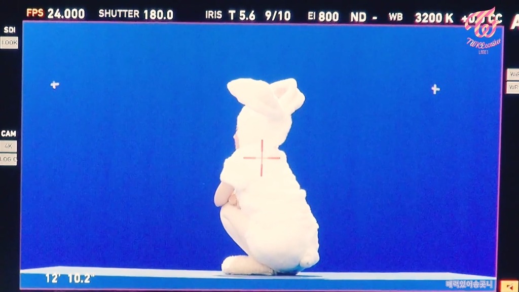 토끼 다현이.gif | 인스티즈