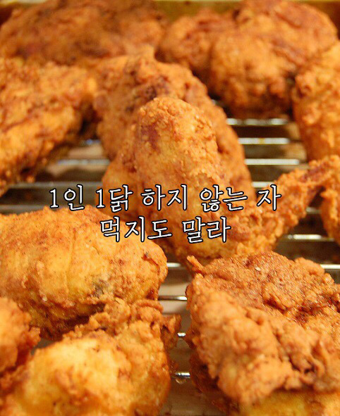ㅇㄱㄹㅇㅂㅂㅂㄱ 음식 명언 10가지 | 인스티즈
