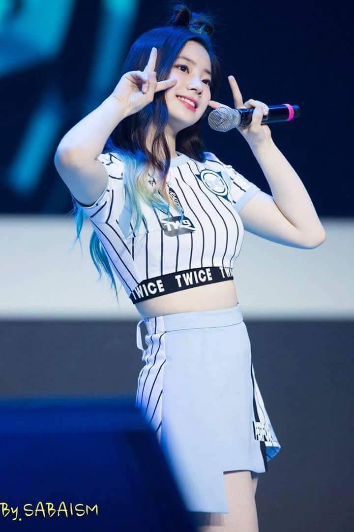 트와이스 두부 꾹꾹이 아기맹수 | 인스티즈