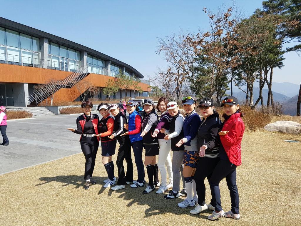 파란잔디 이미지