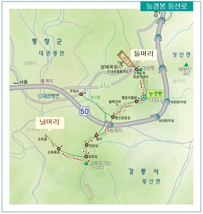 비1238 이미지