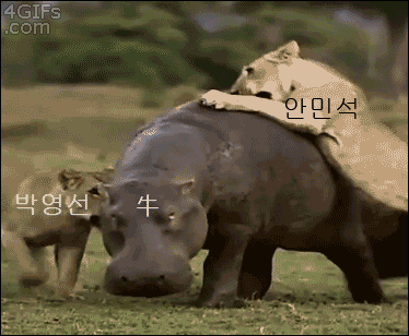 어제자 청문회 요약.gif | 인스티즈
