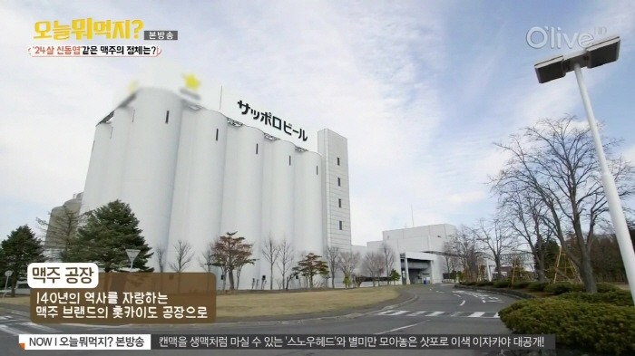 여직원이 알려주는 맥주 맛있게 먹는 방법 | 인스티즈