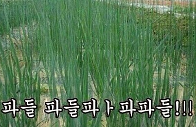 ㅓㅏㅏ 이미지