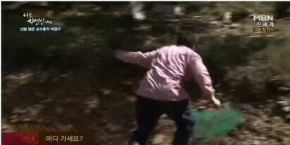 자신의 최애 연예인이 자연인이면 결혼한다 vs안한다 | 인스티즈