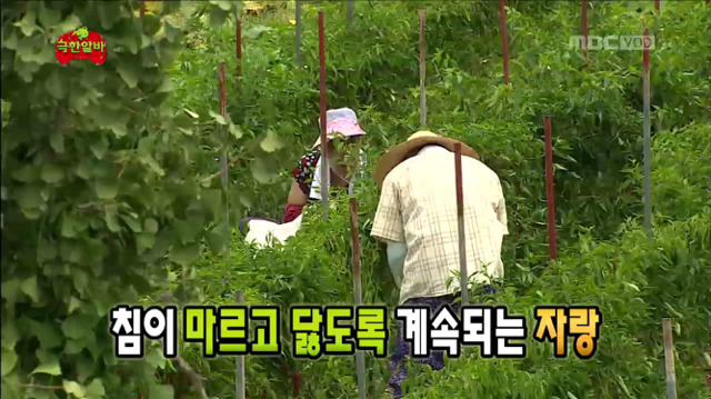 [무한도전] 자식 자랑하는 팔불출 명수옹ㅋㅋㅋㅋㅋㅋㅋㅋㅋ | 인스티즈