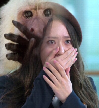 솟을 이미지