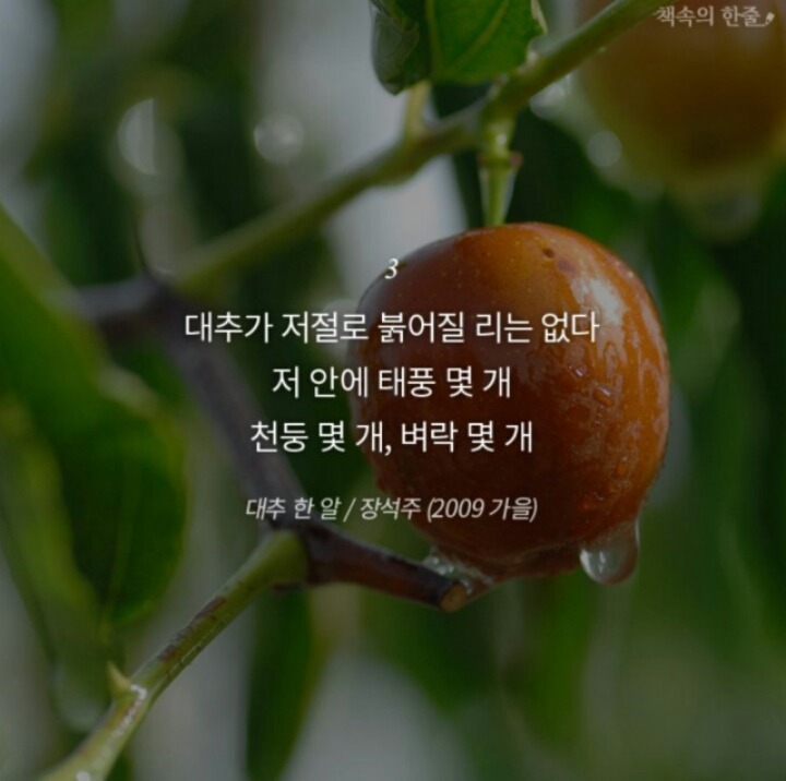 토마토 댄스스포츠학원 이미지
