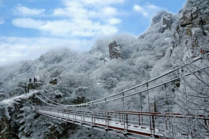 아름다운선택 이미지
