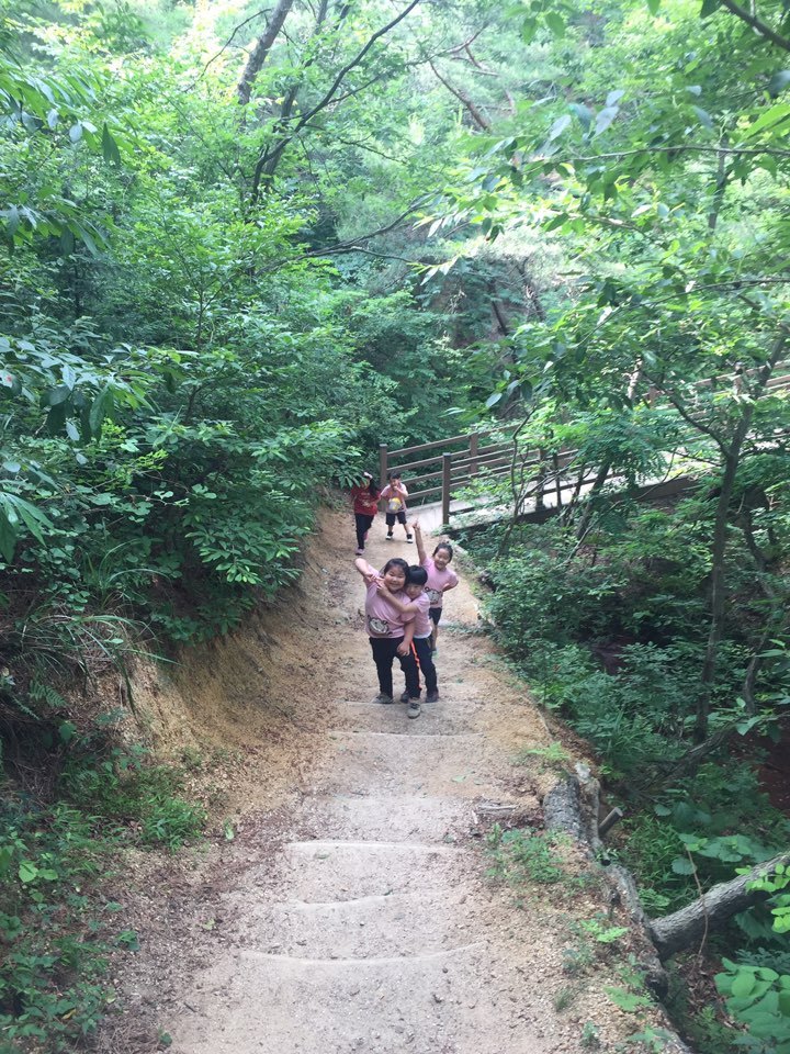 연이숲 이미지