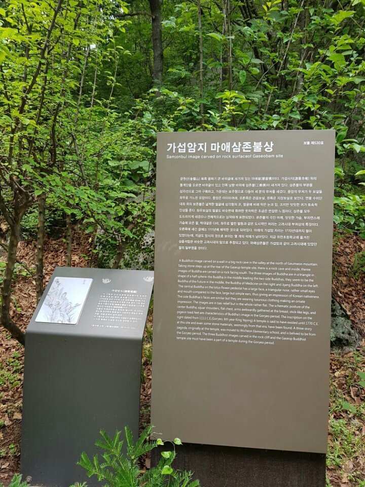 대전한마음이벤트 이미지