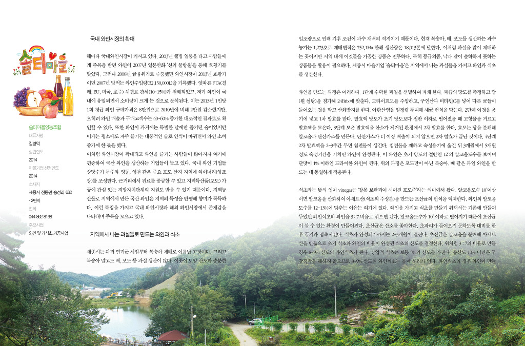 법인솔티 이미지